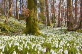 Весна - красивые картинки (100 фото) • Прикольные картинки и позитив